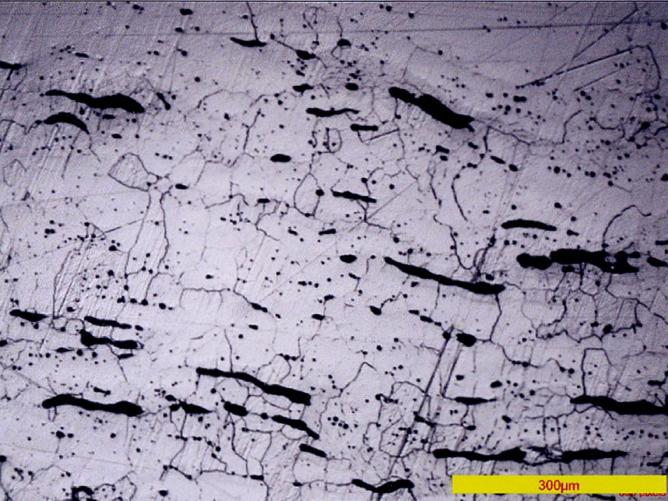 Fig 14 microphotographie presentant des grains en acier doux